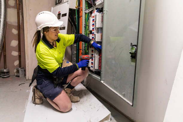 Best Electric Panel Repair  in Castalia, OH