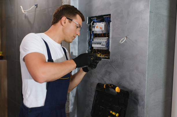 Best Outdoor Lighting Installation  in Castalia, OH